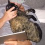 Mimi (11)